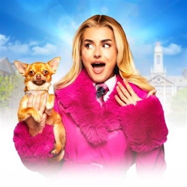 Legally Blonde - Marlowe Theatre, Canterbury