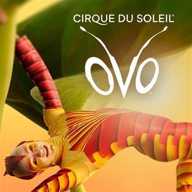 Cirque du Soleil - OVO