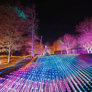 Port Lympne Illuminated